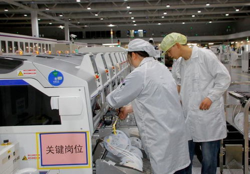 芯片榮獲最高級別認證 兩江新區以硬科技為引擎，驅動技術服務創新升級